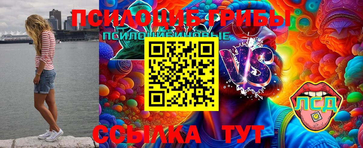 Галлюциногенные грибы ЛСД  Псилоцибиновые грибы Psilocybe  Минусинск  Вход с VPN 